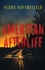 American Afterlife : A Novel cover image