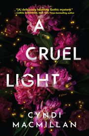 A Cruel Light : A Novel cover image