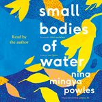 Small bodies of water cover image