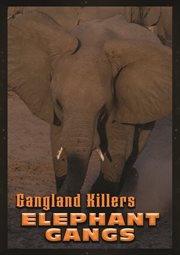 Elephant gangs cover image