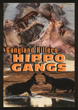 Gangland Killers: Hippo Gangs