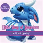 The grand opening cover image