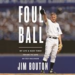 Foul ball : my life and hard times trying to save an old ballpark cover image