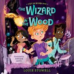 The wizard in the wood cover image