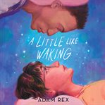 A Little Like Waking cover image