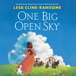 One Big Open Sky cover image