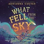 What Fell From the Sky cover image