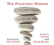 This precarious moment. Six Urgent Steps that Will Save You, Your Family, and Our Country cover image