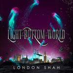 The light at the bottom of the world cover image
