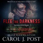 Flee the Darkness cover image