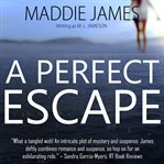 A Perfect Escape cover image