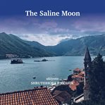 The saline moon cover image