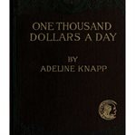 One thousand dollars a day : studies in practical economics cover image
