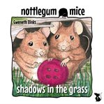 Shadows in the grass cover image