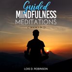 Guided Mindfulness Meditation cover image