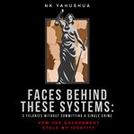 Faces Behind These Systems : 3 Felonies without Committing A Single Crime, How The Government Stole My Identity cover image