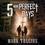 5 more perfect days cover image