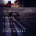 Hidden in a Small Town cover image