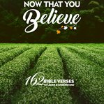 Now That You Believe cover image