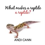 What Makes a Reptile a Reptile? cover image