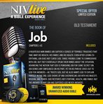 Niv live:book of job cover image