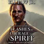 Flashes of Courage and Spirit : Saga of Sir Bryan cover image