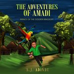 The Adventures of Amadi cover image