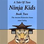 The Ancient Protective Stone : Tale Of Two Ninja Kids cover image