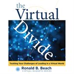 The Virtual Divide cover image