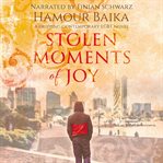 Stolen moments of joy. A Gripping Contemporary LGBT Novel cover image