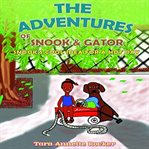 The Adventures of Snook and Gator: Snook's Cool Idea for a Hot Day cover image