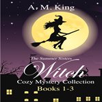 The Summer Sisters Witch Cozy Mystery Collection : Books #1-3 cover image