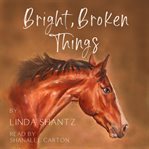 Bright, Broken Things cover image