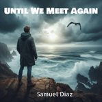 Until We Meet Again cover image