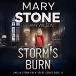 Storm's Burn cover image