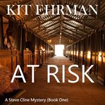 At Risk cover image