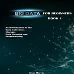 Big Data for Beginners cover image