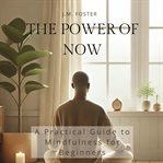The Power of Now cover image