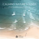 Calming Nature Sounds With Calming Music for Meditation, Hypnosis, Study and Deep Sleep : Calm Your Body And Mind With The Sound Of Ocean Waves, Light Wind And Rain On The Roof cover image