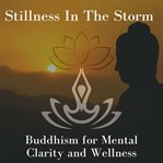 Stillness in the Storm cover image