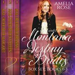 Montana Destiny Brides Box Set : Books #1-3. Montana Destiny Brides cover image