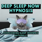 Deep Sleep Now Hypnosis cover image
