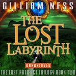 The Lost Labyrinth cover image