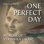 One Perfect Day cover image
