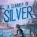 A glimmer of silver cover image