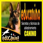 Educanino, Secretos Y Técnicas de Adiestramiento Canino cover image