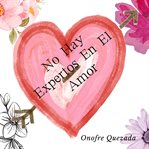 No Hay Expertos En El Amor cover image