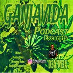 Ganjavida Podcast Excerpts cover image