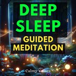 Deep Sleep Guided Meditation cover image