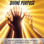 Divine Purpose cover image